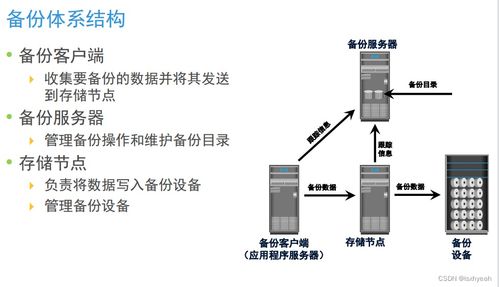 數(shù)據(jù)存儲技術(shù)復(fù)習(xí)（四） 數(shù)據(jù)處理與存儲服務(wù)概覽